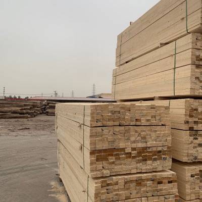 天津廊坊樟子松木方批發(fā)與木材加工專家——中騰木業